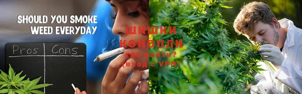 стаф Балахна
