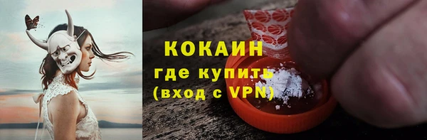 дживик Баксан
