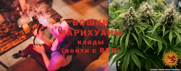 стаф Балахна