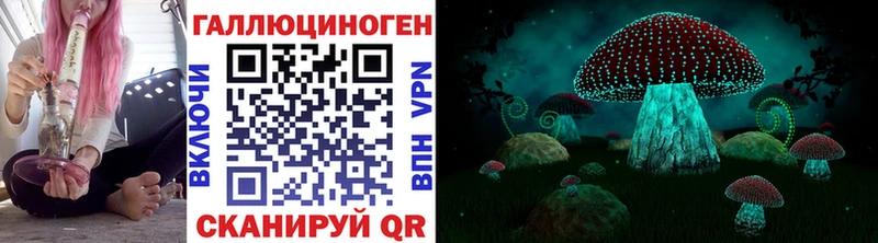 Купить  Волосово  Галлюциногенные грибы мухоморы 